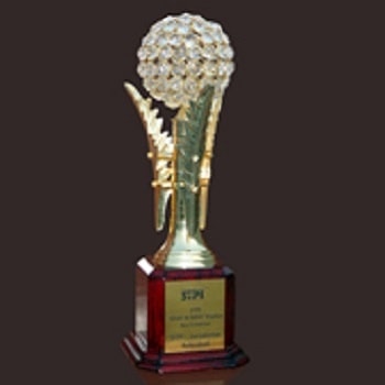 Prestigious-award-to-Efftronics