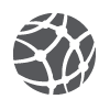 network-icon